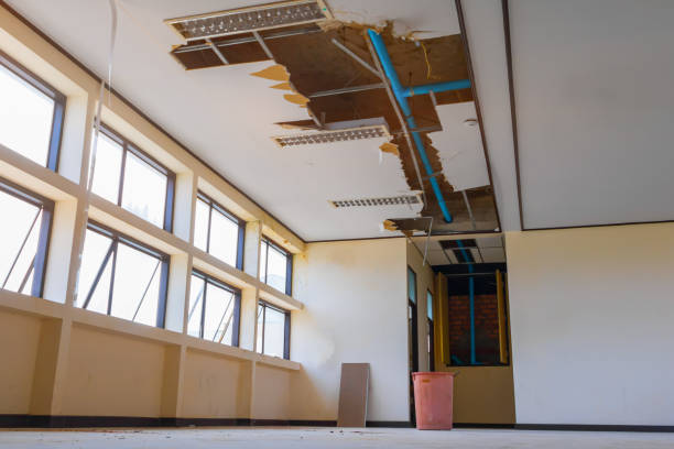 Best Water damage contractors near me  in Lowell, IN