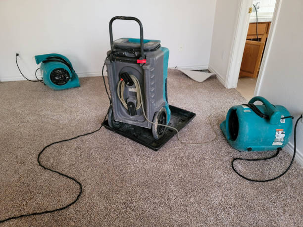 Best Ceiling water damage repair  in Lowell, IN