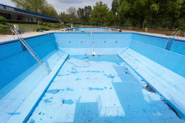 Best Carpet water damage restoration  in Lowell, IN