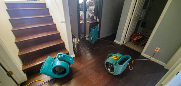 Best Flood restoration services  in Lowell, IN