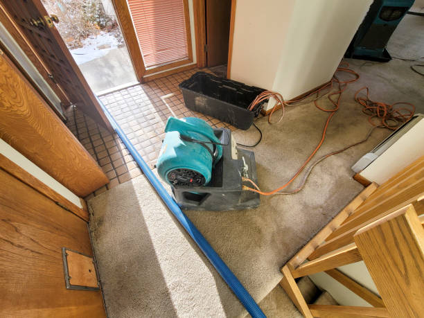 Best Flooded house restoration  in Lowell, IN