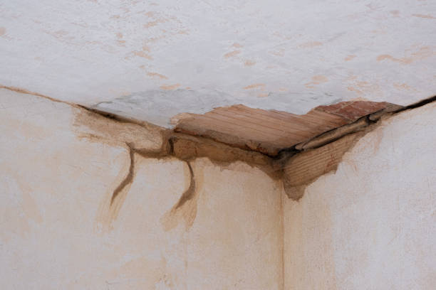 Water damage restoration mold remediation in IN