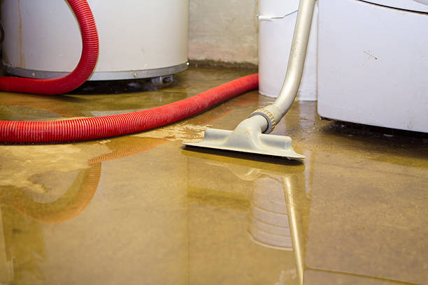 Best Local water damage restoration  in Lowell, IN