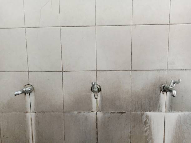 Best Sewage cleanup and water damage restoration  in Lowell, IN